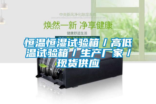 恒溫恒濕試驗箱/高低溫試驗箱/生產廠家/現貨供應