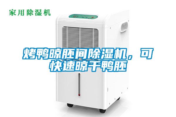 烤鴨晾胚間除濕機,可快速晾干鴨胚