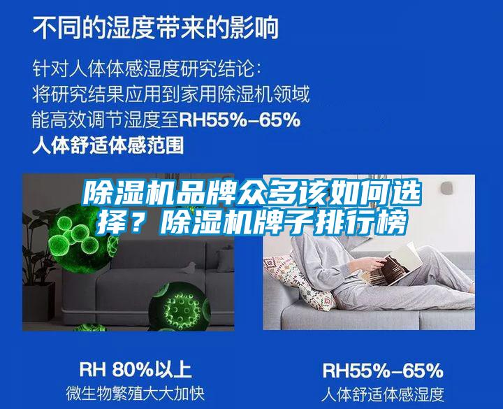 除濕機品牌眾多該如何選擇?除濕機牌子排行榜