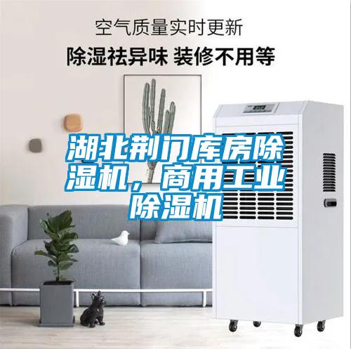 湖北荊門庫房除濕機,商用工業(yè)除濕機