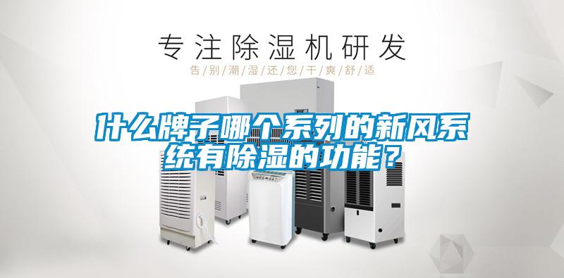 什么牌子哪個系列的新風系統有除濕的功能?