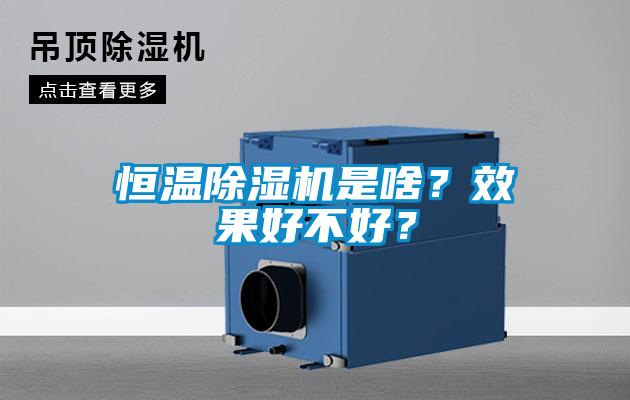 恒溫除濕機(jī)是啥?效果好不好?