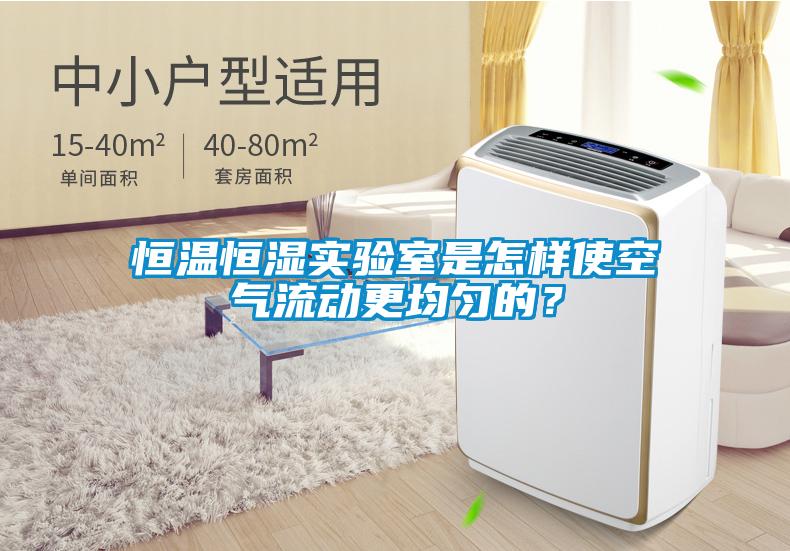 恒溫恒濕實驗室是怎樣使空氣流動更均勻的?
