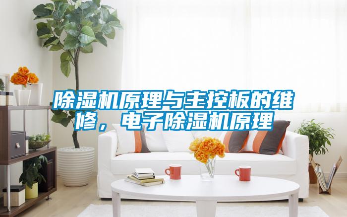 除濕機原理與主控板的維修,電子除濕機原理
