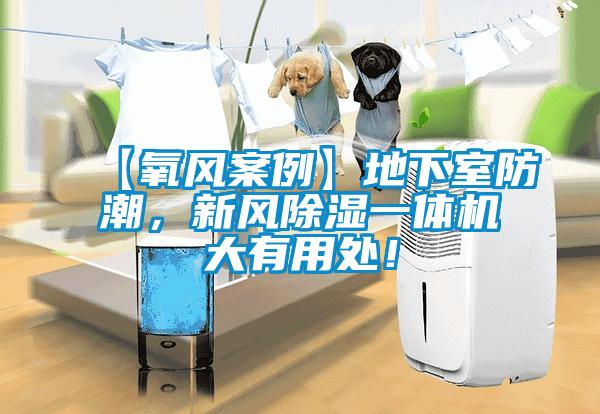 【氧風案例】地下室防潮，新風除濕一體機大有用處！