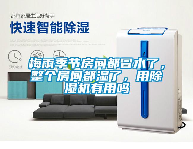梅雨季節(jié)房間都冒水了,整個(gè)房間都濕了,用除濕機(jī)有用嗎