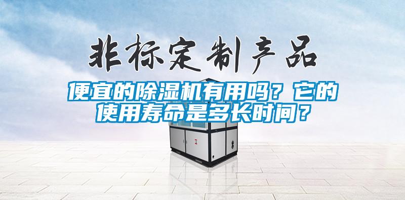 便宜的除濕機有用嗎?它的使用壽命是多長時間?