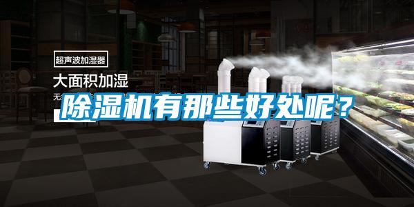除濕機有那些好處呢?
