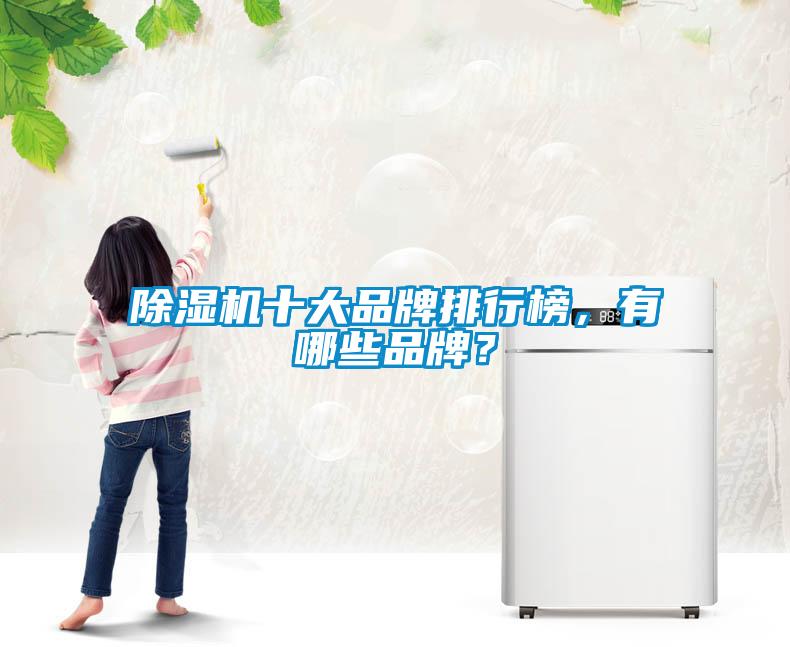 除濕機(jī)十大品牌排行榜,有哪些品牌?