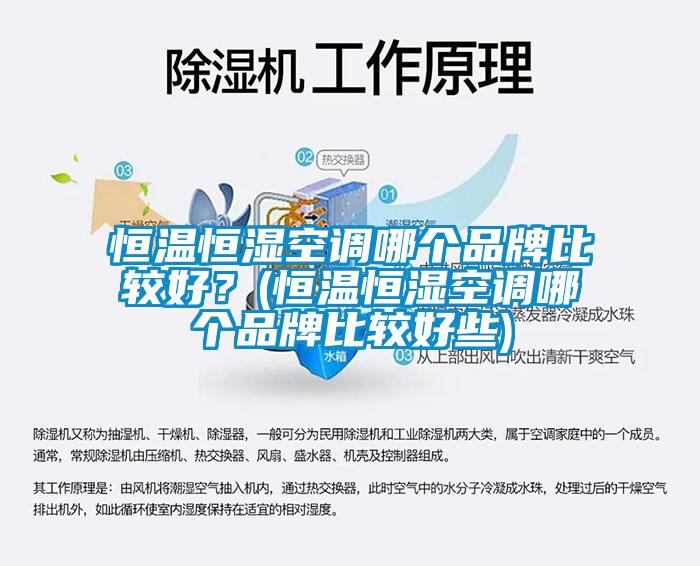 恒溫恒濕空調哪個品牌比較好?(恒溫恒濕空調哪個品牌比較好些)