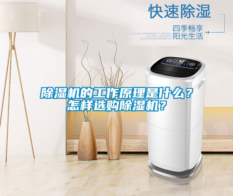 除濕機的工作原理是什么?怎樣選購除濕機?