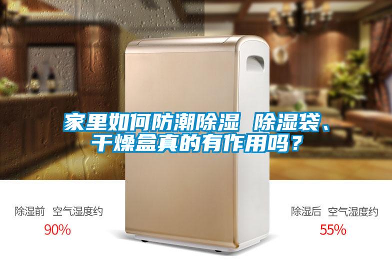 家里如何防潮除濕 除濕袋、干燥盒真的有作用嗎?