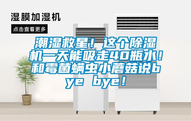 潮濕救星!這個除濕機一天能吸走40瓶水!和霉菌螨蟲小蘑菇說bye bye!