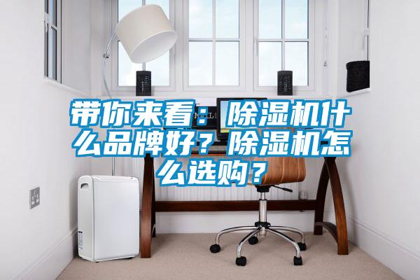 帶你來看:除濕機(jī)什么品牌好?除濕機(jī)怎么選購?