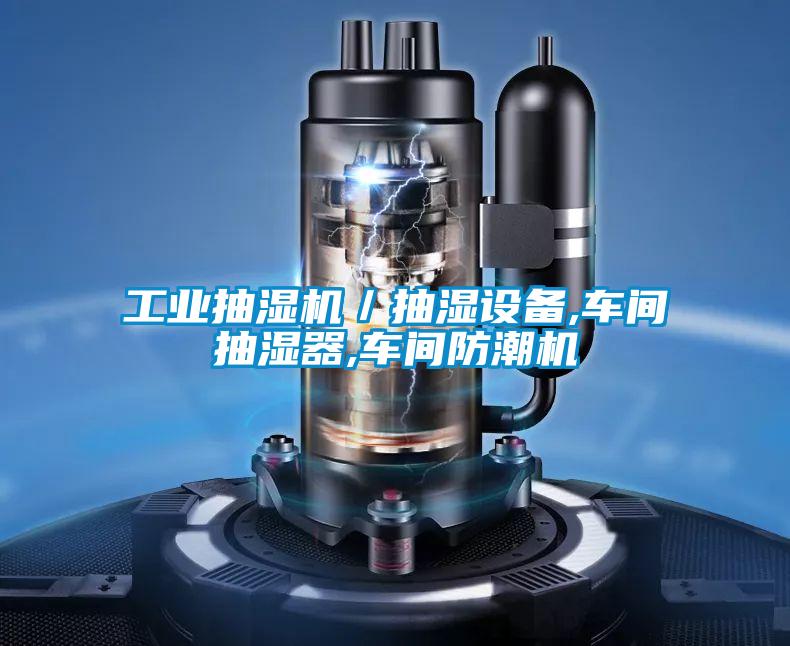 工業(yè)抽濕機/抽濕設(shè)備,車間抽濕器,車間防潮機