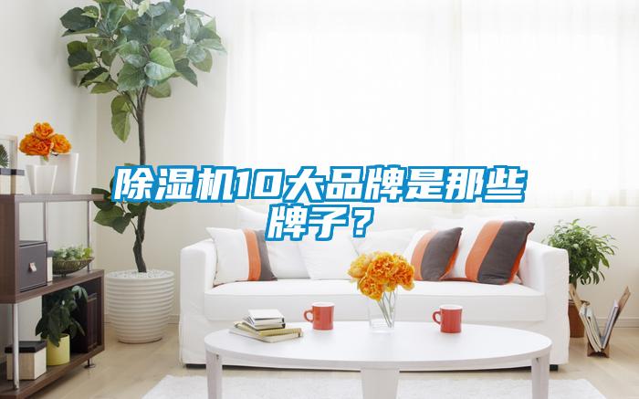 除濕機(jī)10大品牌是那些牌子?