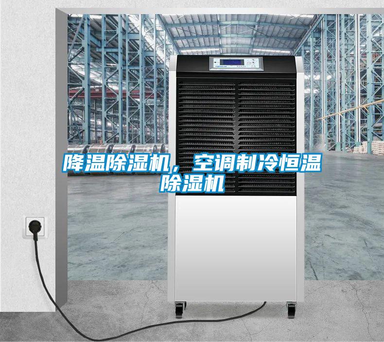 降溫除濕機(jī),空調(diào)制冷恒溫除濕機(jī)