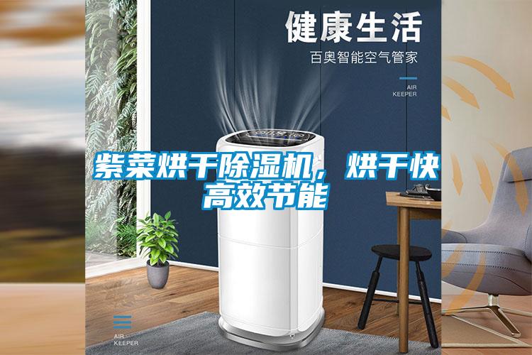 紫菜烘干除濕機,烘干快高效節能