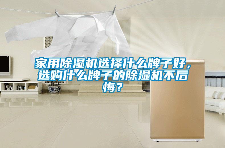 家用除濕機選擇什么牌子好,選購什么牌子的除濕機不后悔?