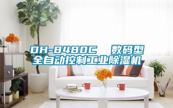 DH-8480C 數碼型全自動控制工業除濕機