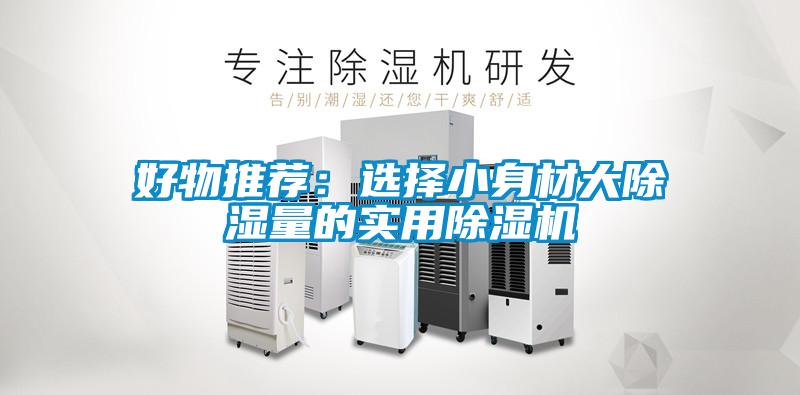 好物推薦:選擇小身材大除濕量的實用除濕機