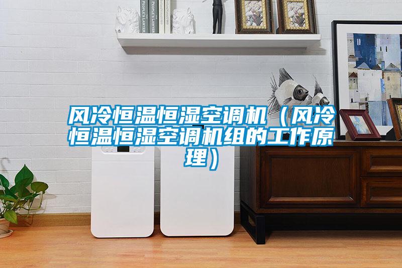風冷恒溫恒濕空調機(風冷恒溫恒濕空調機組的工作原理)