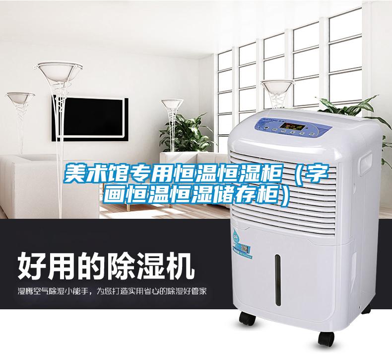 美術館專用恒溫恒濕柜(字畫恒溫恒濕儲存柜)
