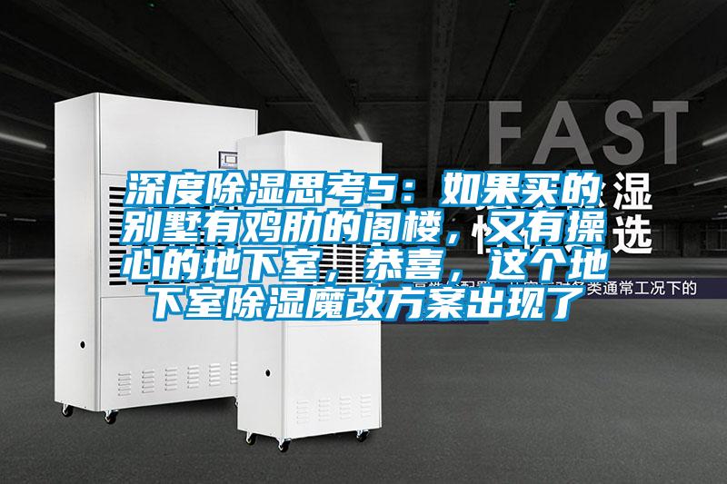 深度除濕思考5:如果買的別墅有雞肋的閣樓,又有操心的地下室,恭喜,這個地下室除濕魔改方案出現了