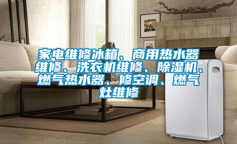 家電維修冰箱、商用熱水器維修、洗衣機(jī)維修、除濕機(jī)、燃?xì)鉄崴鳌⑿蘅照{(diào)、燃?xì)庠罹S修