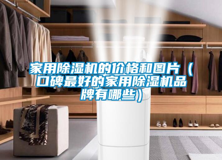 家用除濕機的價格和圖片(口碑最好的家用除濕機品牌有哪些)