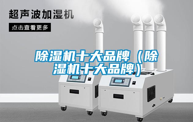 除濕機(jī)十大品牌(除濕機(jī)十大品牌)