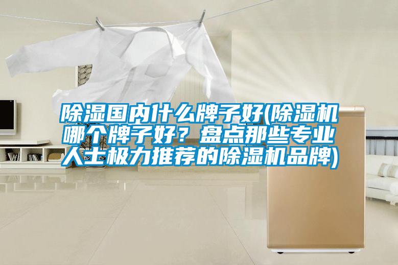 除濕國內什么牌子好(除濕機哪個牌子好？盤點那些專業人士極力推薦的除濕機品牌)