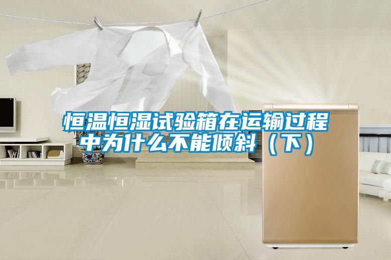 恒溫恒濕試驗箱在運輸過程中為什么不能傾斜(下)