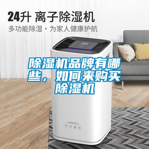 除濕機(jī)品牌有哪些,如何來購買除濕機(jī)