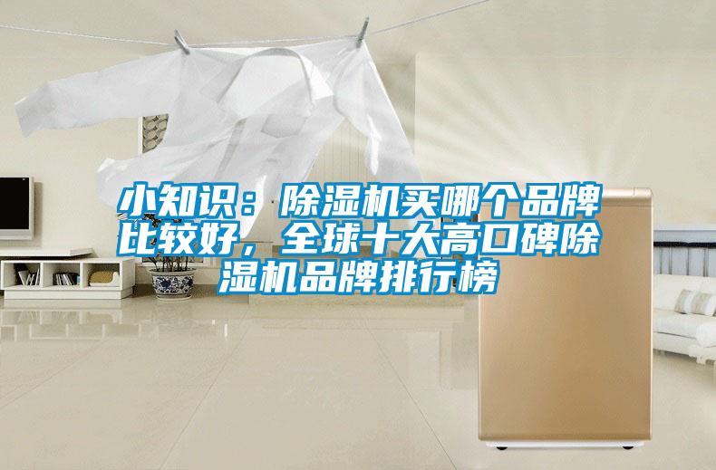 小知識(shí):除濕機(jī)買哪個(gè)品牌比較好,全球十大高口碑除濕機(jī)品牌排行榜