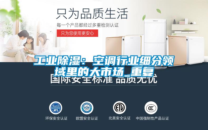 工業除濕:空調行業細分領域里的大市場_重復