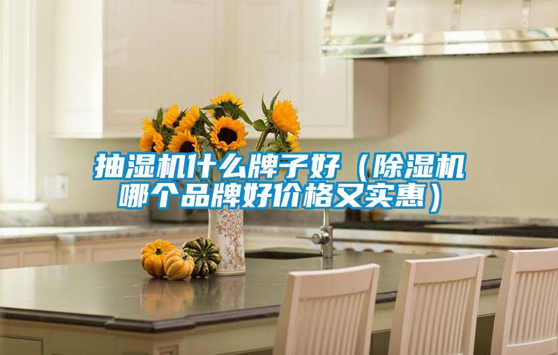 抽濕機什么牌子好(除濕機哪個品牌好價格又實惠)