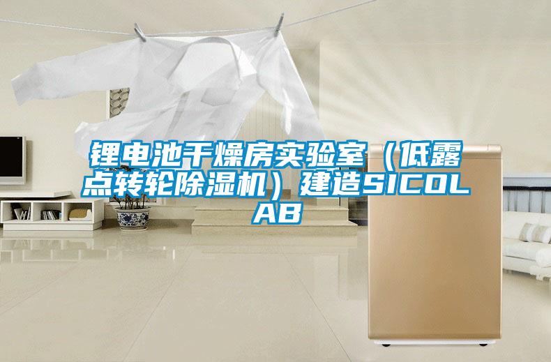 鋰電池干燥房實驗室(低露點轉(zhuǎn)輪除濕機)建造SICOLAB