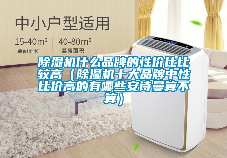 除濕機什么品牌的性價比比較高(除濕機十大品牌中性比價高的有哪些安詩曼算不算)