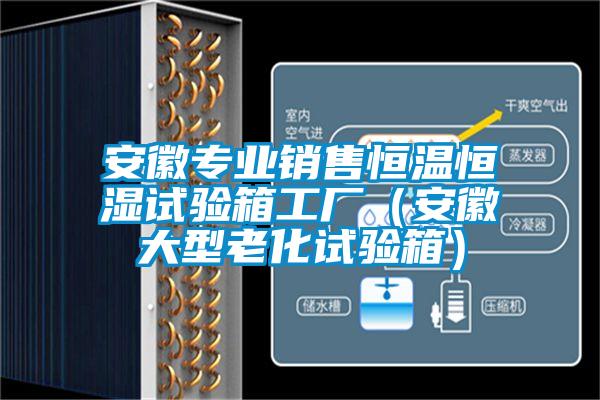 安徽專業銷售恒溫恒濕試驗箱工廠(安徽大型老化試驗箱)