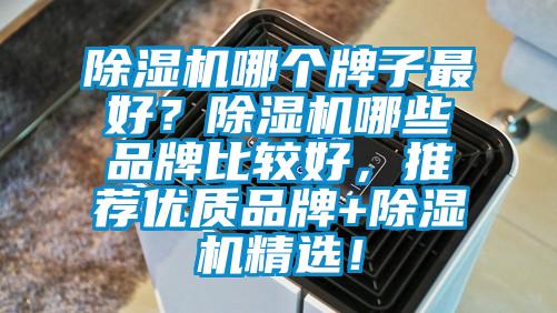 除濕機(jī)哪個(gè)牌子最好?除濕機(jī)哪些品牌比較好,推薦優(yōu)質(zhì)品牌+除濕機(jī)精選!