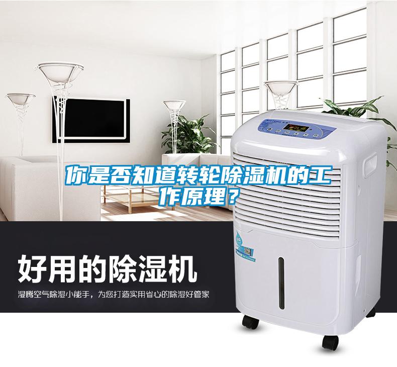 你是否知道轉輪除濕機的工作原理?