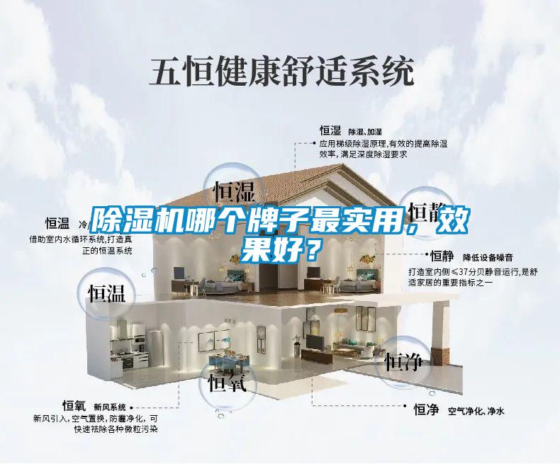 除濕機(jī)哪個(gè)牌子最實(shí)用,效果好?