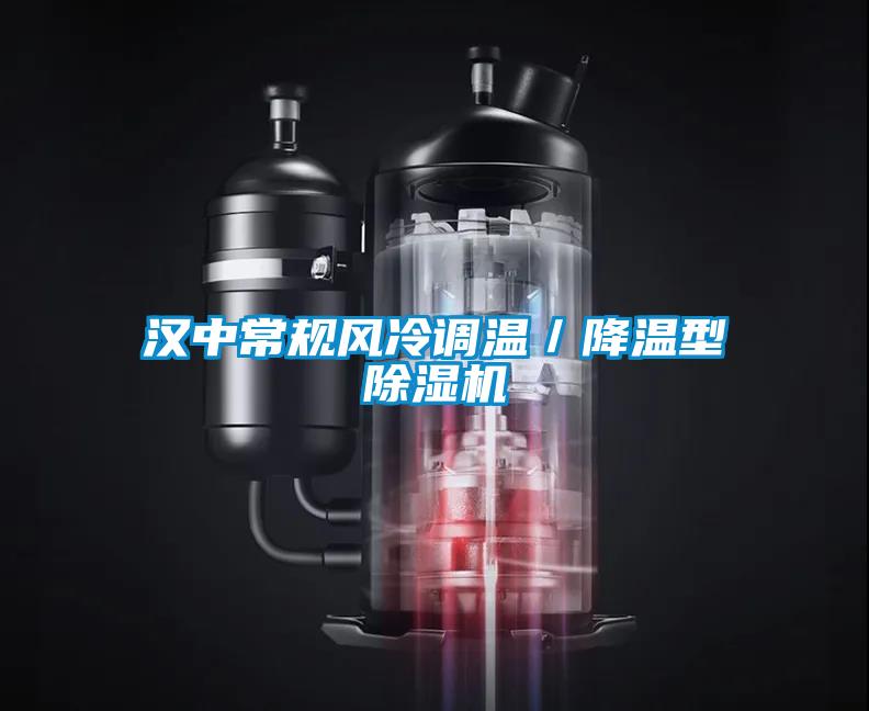 漢中常規(guī)風(fēng)冷調(diào)溫/降溫型除濕機