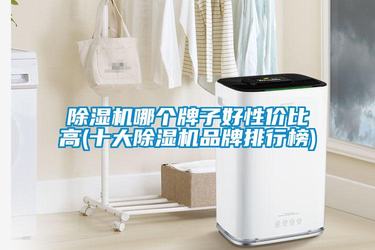 除濕機(jī)哪個牌子好性價比高(十大除濕機(jī)品牌排行榜)