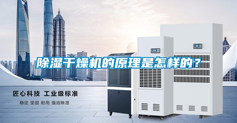 除濕干燥機的原理是怎樣的?