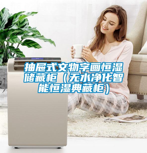 抽屜式文物字畫恒濕儲藏柜(無水凈化智能恒濕典藏柜)