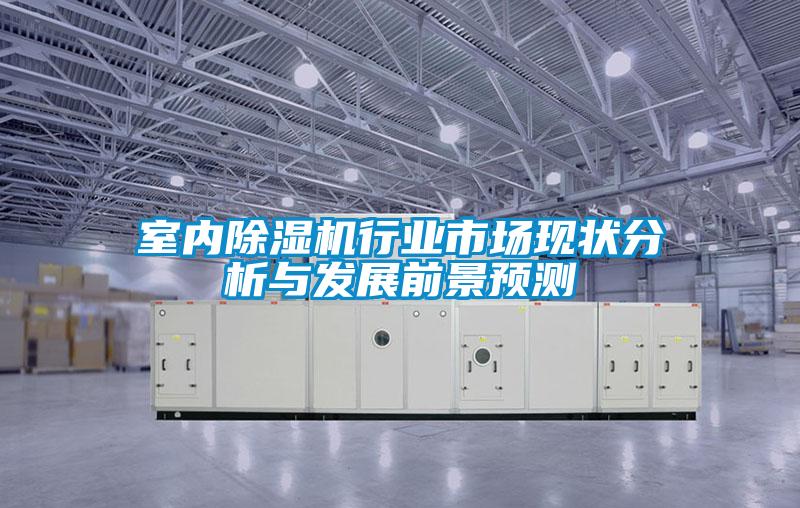 室內(nèi)除濕機(jī)行業(yè)市場(chǎng)現(xiàn)狀分析與發(fā)展前景預(yù)測(cè)