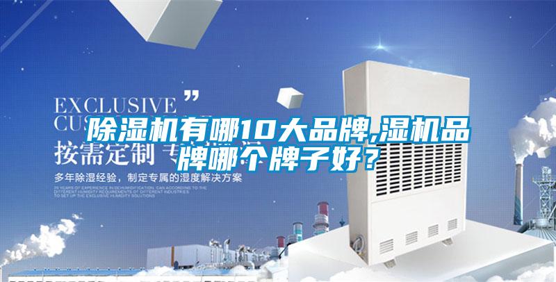除濕機有哪10大品牌,濕機品牌哪個牌子好？