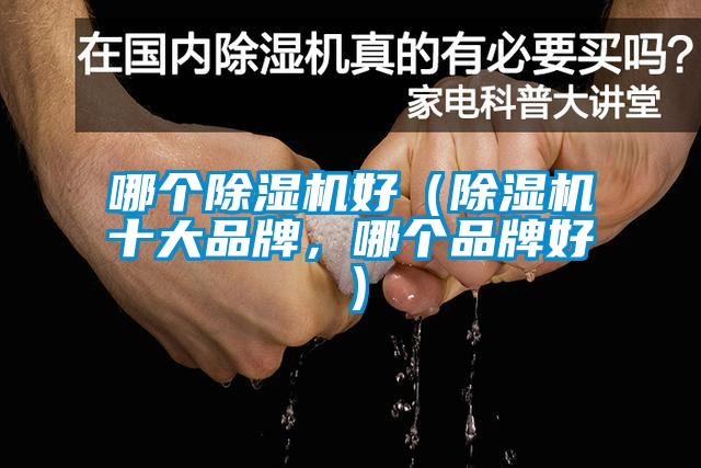 哪個除濕機好(除濕機十大品牌,哪個品牌好)